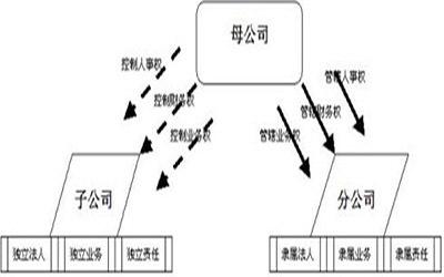2019年注册新公司中，子公司和分