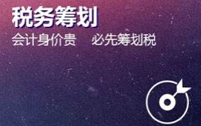 税务筹划 税务筹划