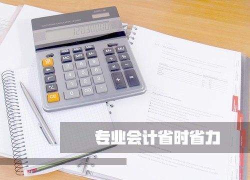 记账报税 记账报税